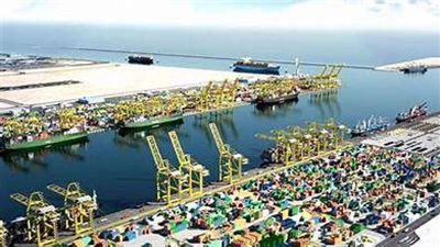 فعاليات جهود الدولة في الارتقاء بالمناطق الحرة و الاستثمارية.. فيديو