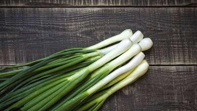 وقف حظر تصدير البصل الأخضر.. وأستاذ معهد البحوث الزراعية يوضح التفاصيل