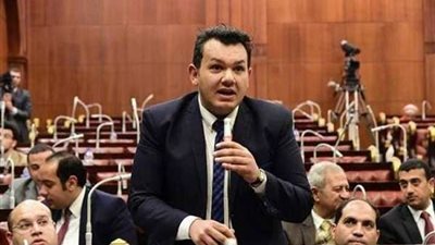 برلماني : مصر تنعم بالأمن والاستقرار مع الرئيس السيسي ومسيرات ضخمة لدعمه بالانتخابات الرئاسية
