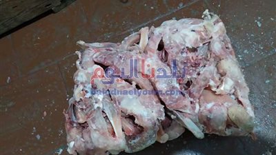 شرطة التموين تضبط  أكثر من 2  طن دواجن غير صالحة للإستهلاك الآدمى بالجيزة