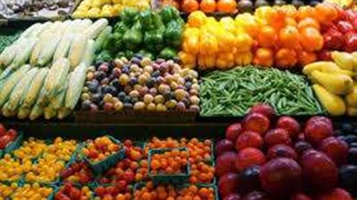 مصر تتصدر قائمة إنتاج الخضروات وفقًا للفاو.. ونقيب الفلاحين يوضح التفاصيل