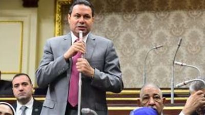 هشام الحصري رئيسًا للجنة الزراعة بمجلس النواب.. وعبد القوى أمينًا للسر