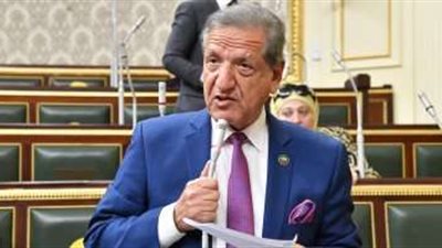 فوز فخرى الفقى برئاسة لجنة الخطة والموازنة بالنواب.. وسالم وعمر وكيلين