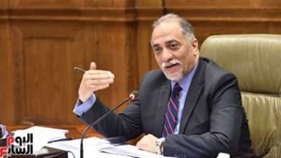 عبد الهادي القصبي رئيسًا للجنة التضامن بـ