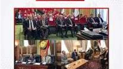 الهيئة الوطنية ووزير الخارجية يبحثان إجراءات تصويت المصريين بالخارج في انتخابات الرئاسة