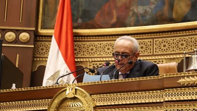 أبو شقة يفتتح الجلسة العامة للشيوخ لإعلان تشكيل قوائم اللجان النوعية