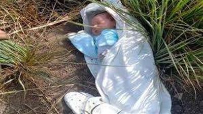 العثور على جثة طفل حديث الولادة داخل حظيرة مواشي بالزقازيق