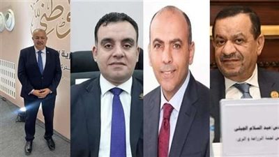 المهندس عبدالسلام الجبلي رئيسًا للجنة الزراعة والري بالشيوخ