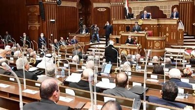 مجلس الشيوخ يعلن نتائج انتخابات التجارة والصناعة والشباب والرياضة
