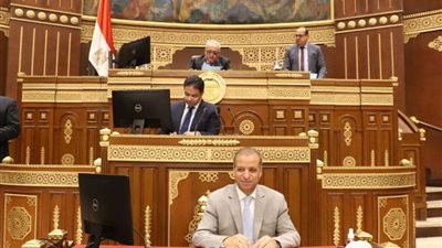 فوز النائب محمد هيبة برئاسة لجنة حقوق الإنسان بمجلس الشيوخ