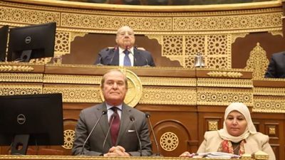 النائب محمد هيبة رئيسًا لحقوق الإنسان بمجلس الشيوخ