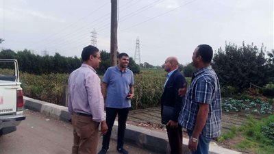 وزارة البيئة تشدد الرقابة على مصادر التلوث وغرامات للمخالفين بحرق قش الأرز والمخلفات