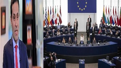 أكاذيب المعارضة والإخوان مستمرة وتريد تدخل الغرب في الشأن الداخلي