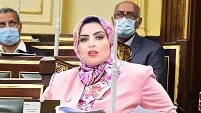 برلمانية: بيان البرلمان الأوروبي هدفه زعزعة أمن واستقرار مصر