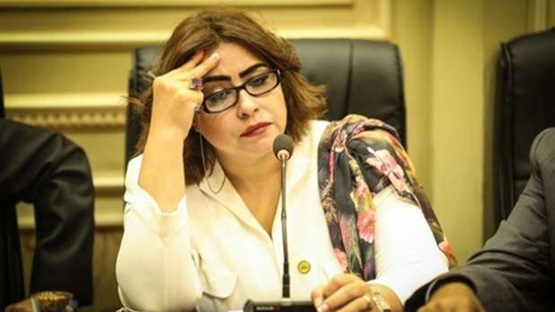 النائبة غادة عجمي