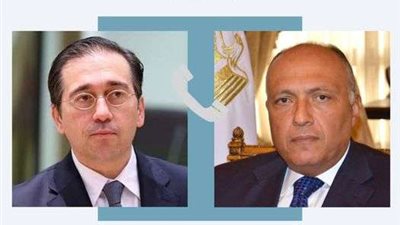 شكري يبحث مع رئيس مجلس الاتحاد الأوروبي سبل وقف التصعيد في غزة