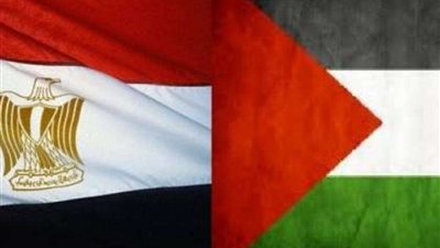 شاهد |  دور مصر في القضية الفلسطينية