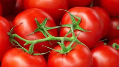 الـ4 بـ10 جنيهات.. نقيب الفلاحين يوضح ميعاد انخفاض أسعار الطماطم