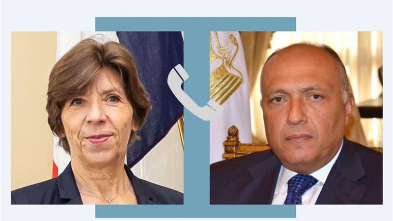 وزير الخارجية المصرى