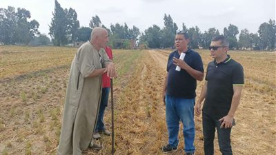 البيئة: استمرار جهود مكافحة تلوث الهواء بالغربية تنفيذًا لتكليفات الوزيرة