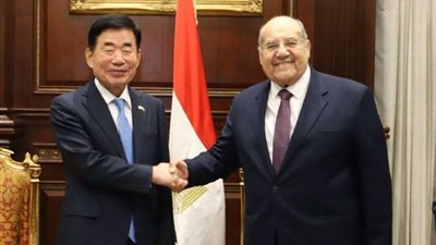 رئيس مجلس الشيوخ يرحب بالوفد الكوري الجنوبي ويؤكد على دعم وتطوير العلاقات مع البرلمان الكوري