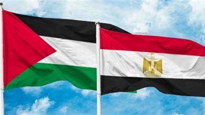 محطات في مساندة مصر للقضية الفلسطينية.. فيديو