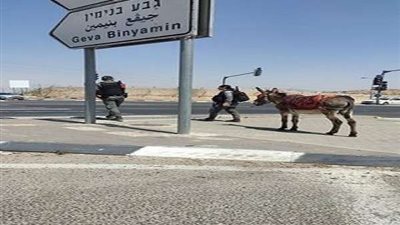 القوات الإسرائيلية 