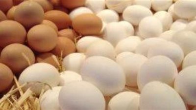 خفض نسبة أسعار البيض والدواجن لا تُعادل نسبة التكلفة.. وشعبة الدواجن توضح التفاصيل