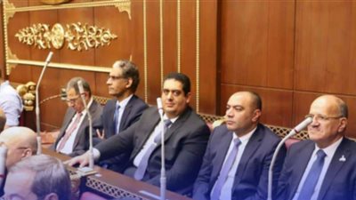 نواب الشيوخ يشيدون بمنح مصر الشهادة الذهبية في القضاء على فيروس سي