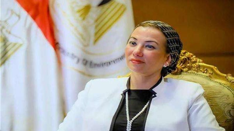 الدكتورة ياسمين فؤاد