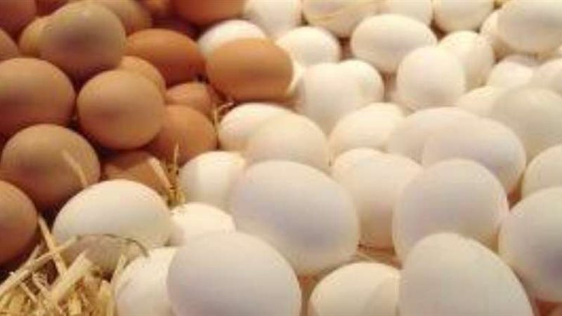 خفض أسعار الدواجن