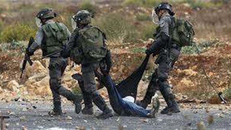فلسطين