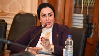 النائبة رحاب موسى: مصر تدعم القضية الفلسطينية وموقفها لن يتغير