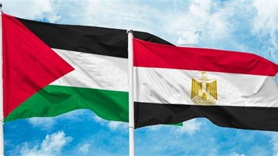 الجهود المصرية في القضية الفلسطينية.. فيديو