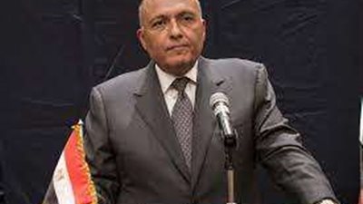 وزير الخارجية: أكدنا منذ البداية على فتح معبر رفح تلبية لاحتياجات الفلسطينيين في غزة.. فيديو