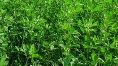 نقيب الفلاحين يحذر من ارتفاع كبير في أسعار خلال ديسمبر القادم