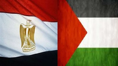 إصرار مصر على دعم الشعب الفلسطيني وإمداده بجميع المساعدات.. فيديو