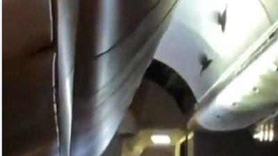 عصافير تتسبب في تعطل إقلاع رحلة جوية أمريكية لمدة 25 دقيقة .. تفاصيل