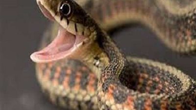 احذروا الذهاب إليها.. 10 أماكن غامضة محظورة على البشر