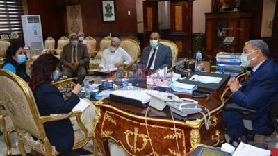 محافظ المنيا يبحث مع وفد 