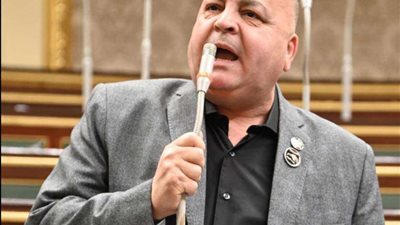 النائب أسامة الأشموني: مبادرة تخفيض أسعار السلع بمثابة تحرك قوي وجاد لتلبية احتياجات المواطنين