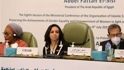 جامعة الدول العربية: المرأة المصرية تستحق ما تشهده من إنجازات ملموسة فى سبيل التمكين