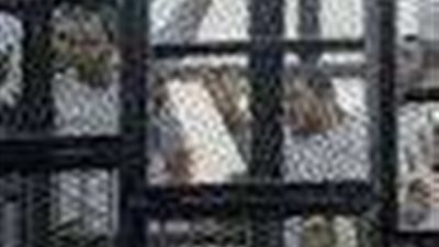 لـ جلسة 15 نوفمبر.. تأجيل محاكمة متهم بأحداث الوايلي