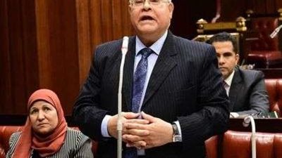 رئيس حزب الجيل: القافلات التي أعدها التحالف الوطني تؤكد موقف مصر تجاه القضية الفلسطينية