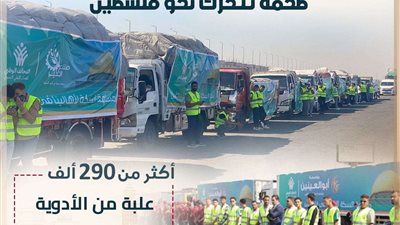 حملة المرشح الرئاسي عبدالفتاح السيسي تثمن انطلاق القوافل الإنسانية الضخمة لفلسطين