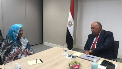 السد الإثيوبي.. تنسيق مصري سوداني قبل جلسة مجلس الأمن