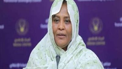 السودان تشرح موقف بلادها بقضية السد الإثيوبي لأعضاء مجلس الأمن