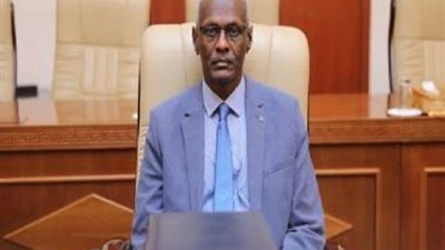 وزير الري السوداني: معلومات إثيوبيا بشأن الملء الثاني ليست ذات قيمة تذكر