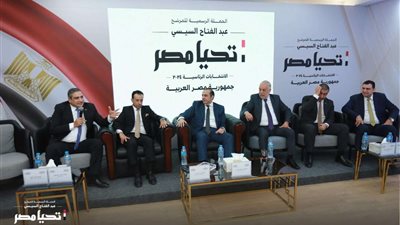 حملة المرشح الرئاسي عبد الفتاح السيسي تستقبل نقيب المهن التمثيلية