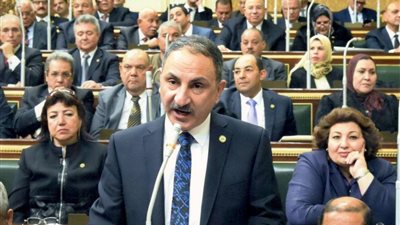 برلماني:  شاهدنا مناظر تقشعر لها الأبدان وينفطر لها الوجدان في فلسطين الشقيقة